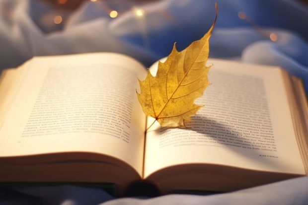 上海杉达学院是不是985学校 上海杉达学院有哪些王牌的专业
