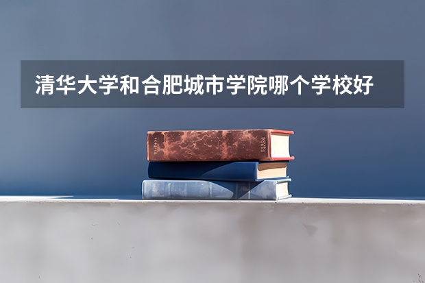 清华大学和合肥城市学院哪个学校好 录取分数线对比