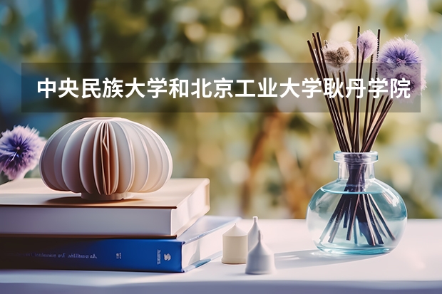 中央民族大学和北京工业大学耿丹学院哪个学校好 录取分数线对比