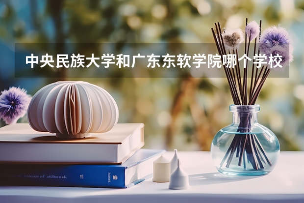 中央民族大学和广东东软学院哪个学校好 录取分数线对比