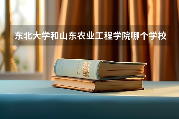 东北大学和山东农业工程学院哪个学校好 录取分数线对比