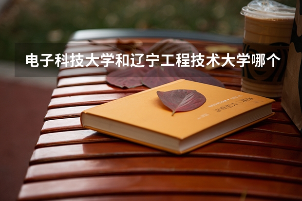 电子科技大学和辽宁工程技术大学哪个学校好 录取分数线对比