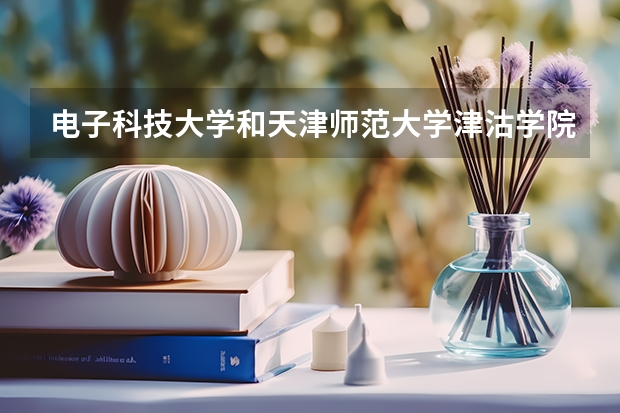 电子科技大学和天津师范大学津沽学院哪个学校好 录取分数线对比