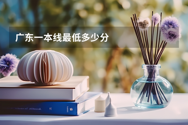 广东一本线最低多少分
