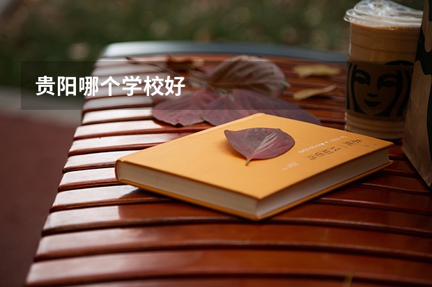 贵阳哪个学校好