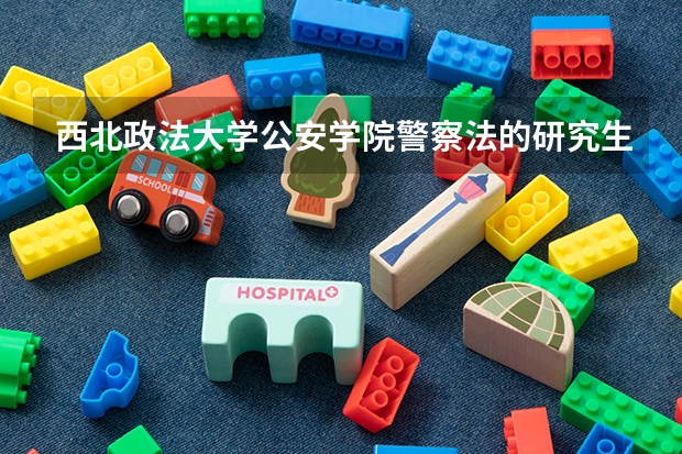 西北政法大学公安学院警察法的研究生,女生可以报考吗?