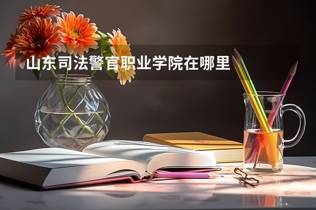 山东司法警官职业学院在哪里