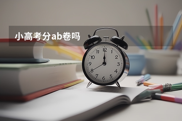 小高考分ab卷吗