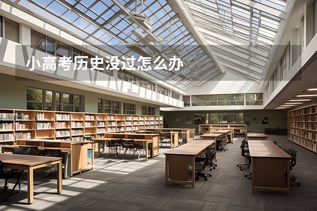 小高考历史没过怎么办