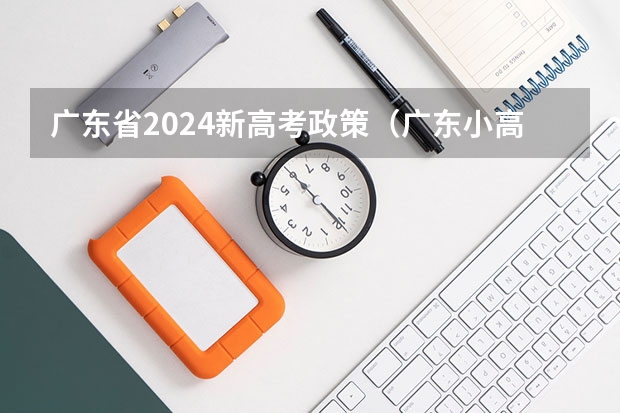 广东省2024新高考政策（广东小高考与高考区别）