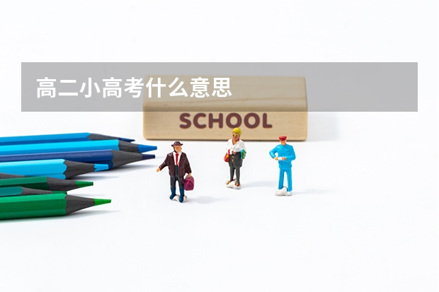 高二小高考什么意思