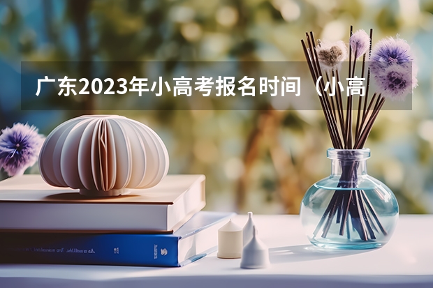广东2023年小高考报名时间（小高考时间具体时间广东）