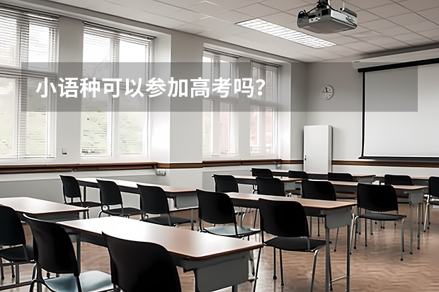 小语种可以参加高考吗？