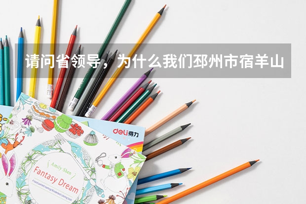 请问省领导，为什么我们邳州市宿羊山镇茸坝庄庄里的路还是土路每到下雨天全是稀泥这和建设美丽乡村相符吗