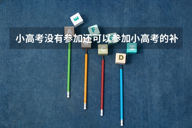 小高考没有参加还可以参加小高考的补考吗