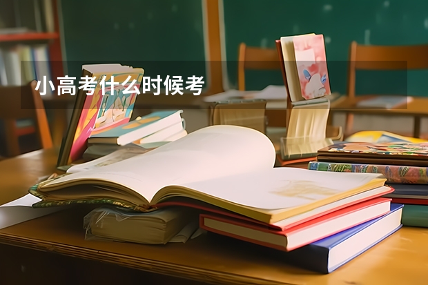 小高考什么时候考