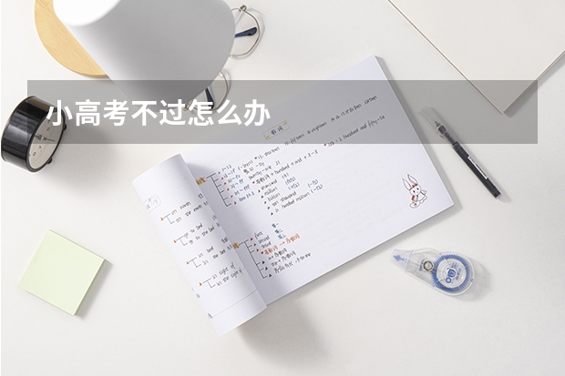 小高考不过怎么办