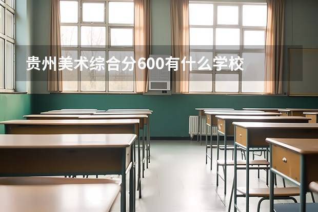 贵州美术综合分600有什么学校