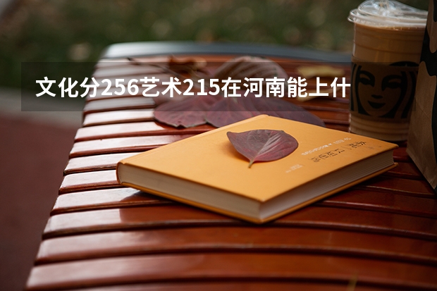 文化分256艺术215在河南能上什么大专?