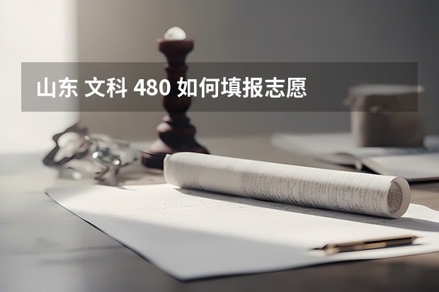 山东 文科 480 如何填报志愿