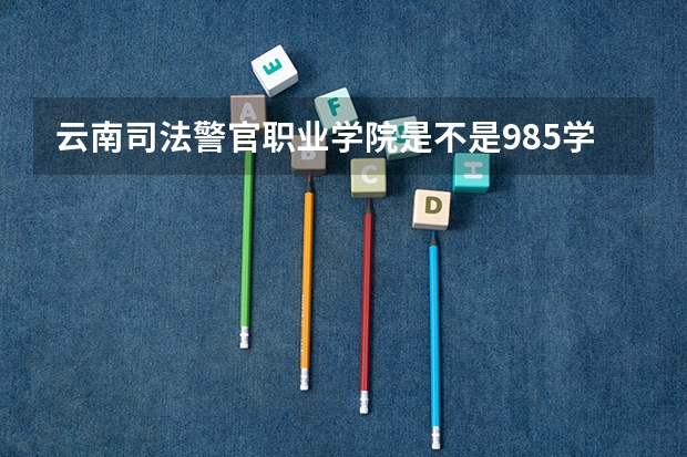 云南司法警官职业学院是不是985学校 云南司法警官职业学院有哪些王牌的专业