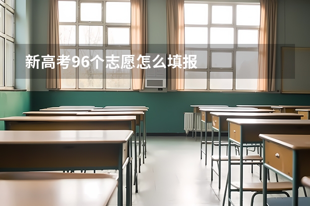 新高考96个志愿怎么填报