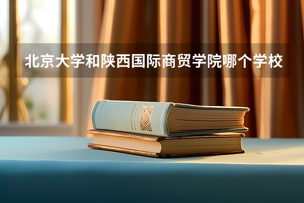 北京大学和陕西国际商贸学院哪个学校好 录取分数线对比